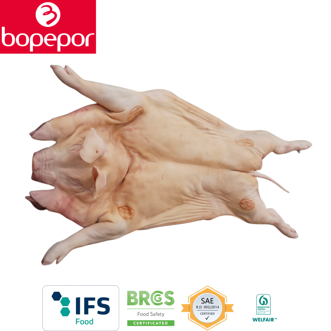 Bopepor Whole Suckling Pig Cochinillo Entero Spain 2