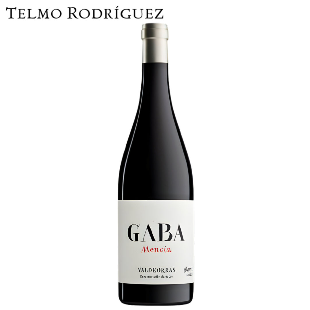 Gaba do Xil Mencia Telmo Rodriguez Valdeorras Spain wine bottle