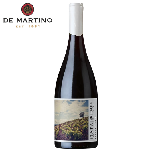 Rare Chilean Cinsault from 40‑year‑old ungrafted vines