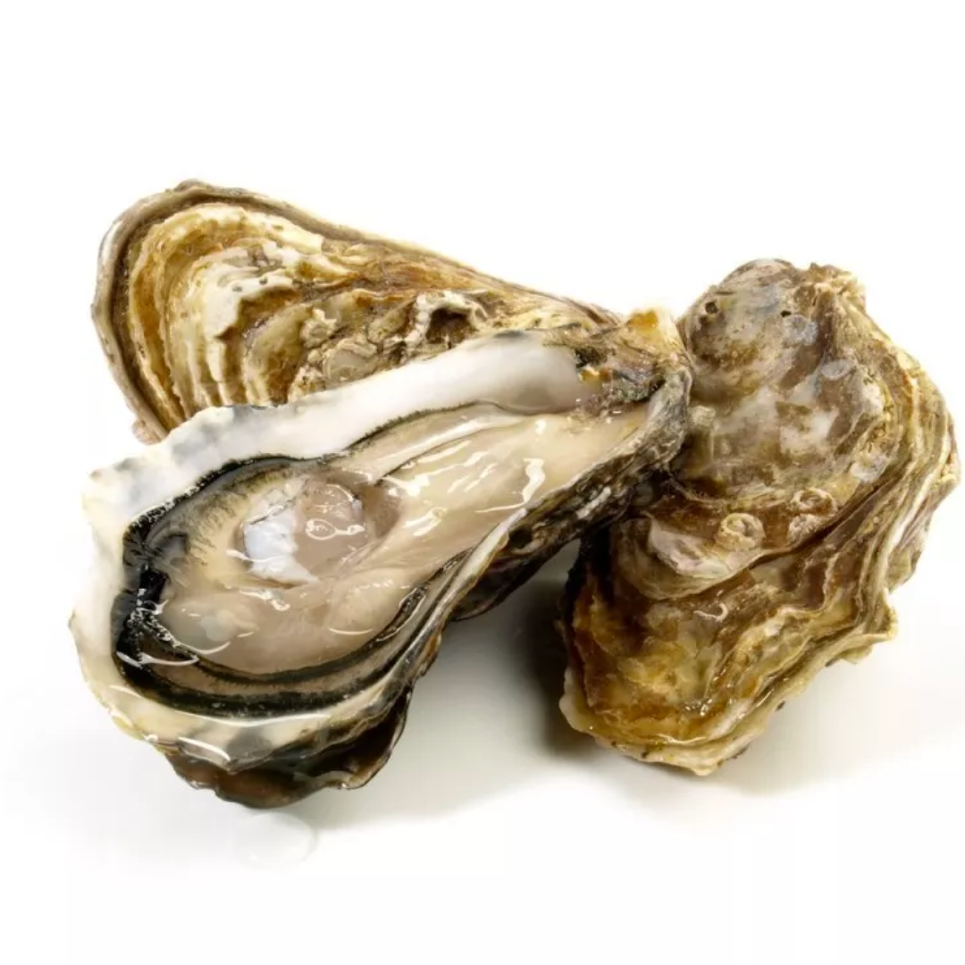 Demarne Cod Whole Headless (4kg-6kg x min 10kg) (pre-order 1 week lead time)