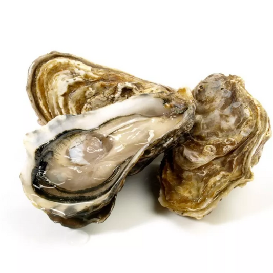 Parcs Saint Kerber Fine de Claire N3 Whole Shell Frozen Oysters 120pcs/box