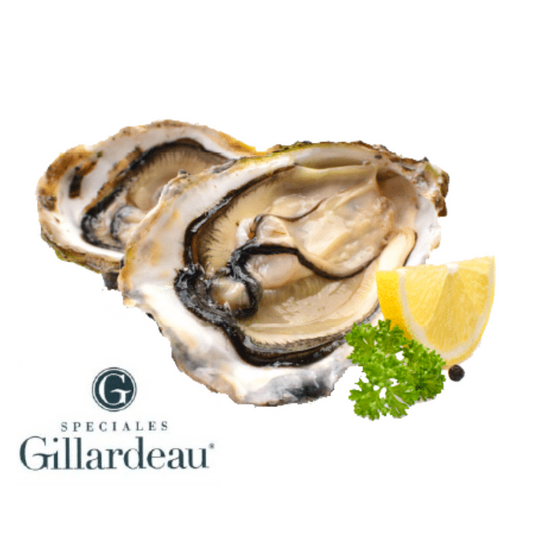 Maison Gillardeau Speciale N4 box of 48 (pre-order 1 week lead time)