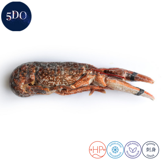 5DO Whole Blanched Blue Lobster