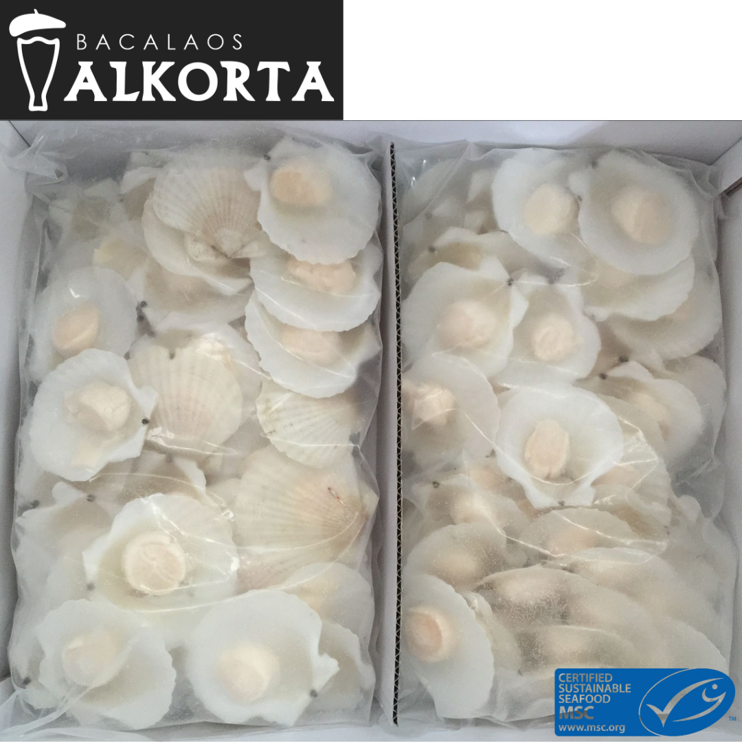 Alkorta Scallops on Half Shell USA 5kg