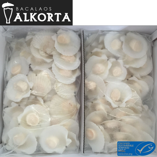 Alkorta Scallops on Half Shell USA 5kg