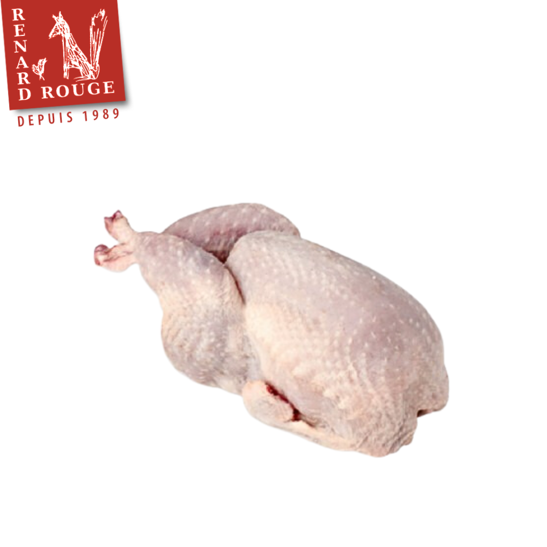 Renard Rouge Oven-Ready Whole Quail 220g