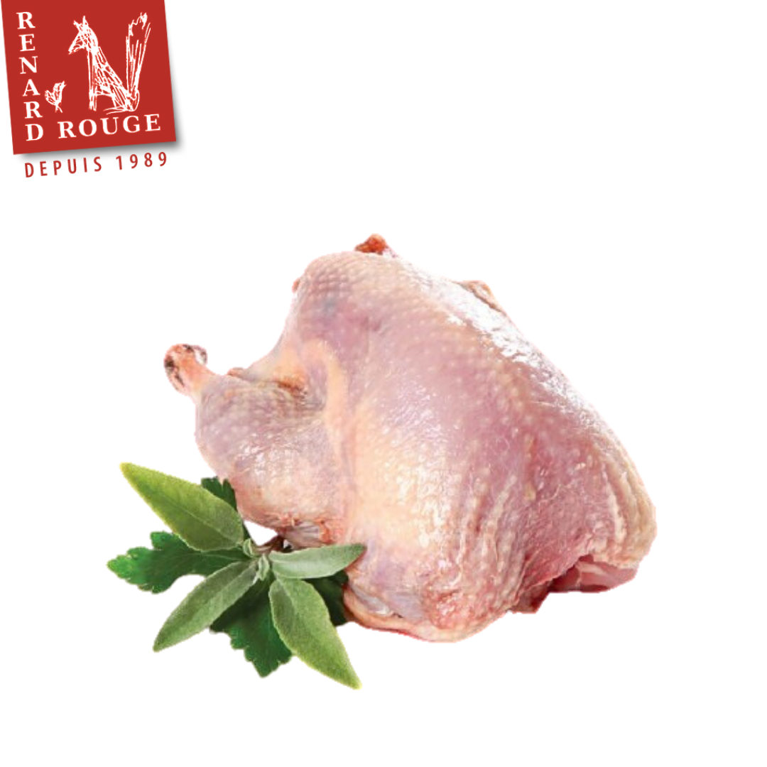 Renard Rouge Oven-Ready Whole Pigeon 450g