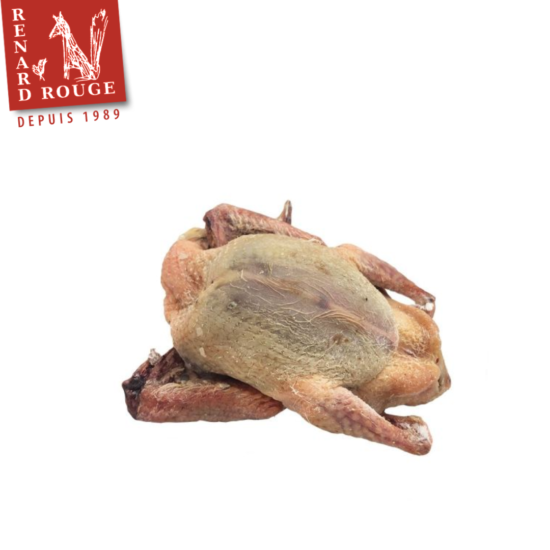 Renard Rouge Whole Pigeon Head-on 450g