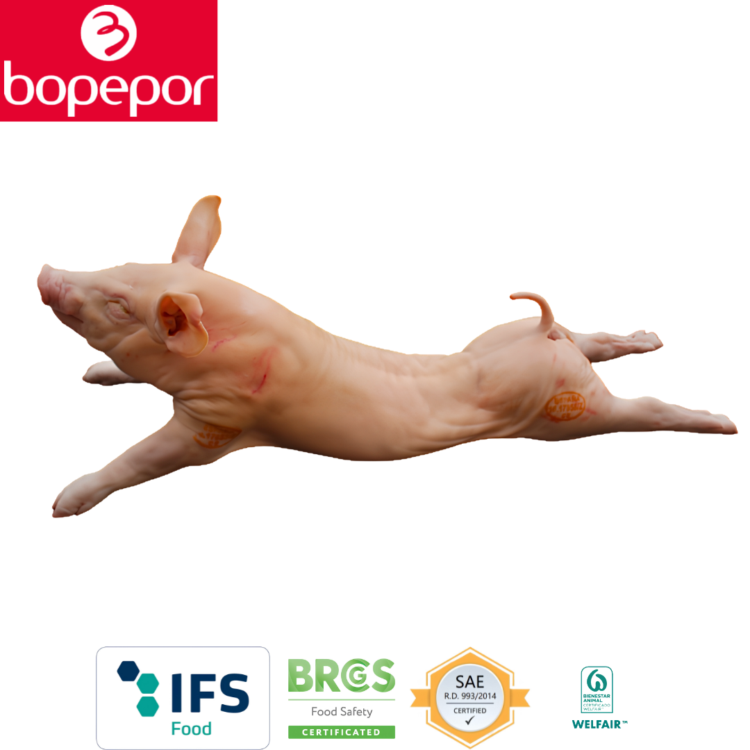 Bopepor Whole Suckling Pig Cochinillo Entero Spain 1
