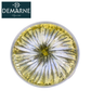 Demarne Anchovy White in Oil 1kg