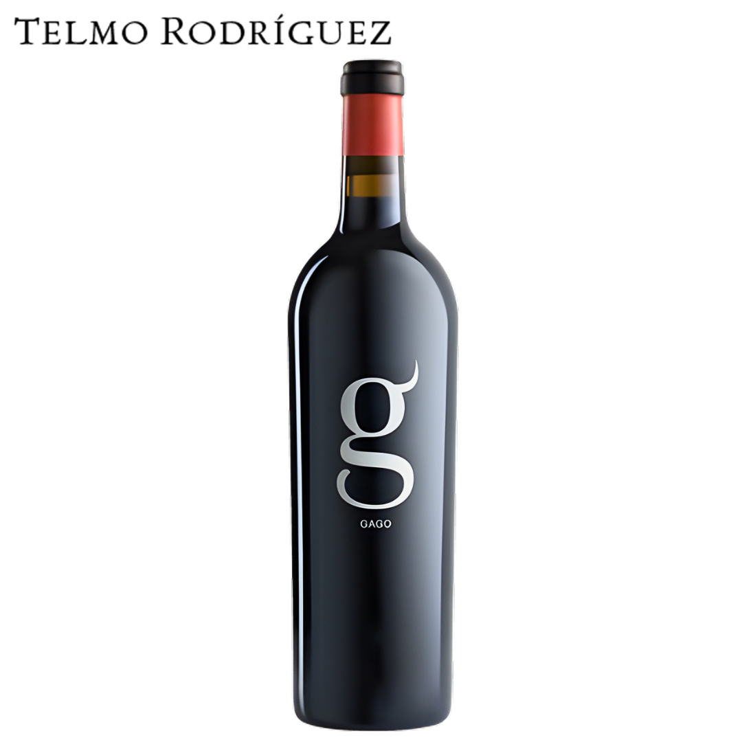 Gago Telmo Rodriguez Toro red wine bottle Spain