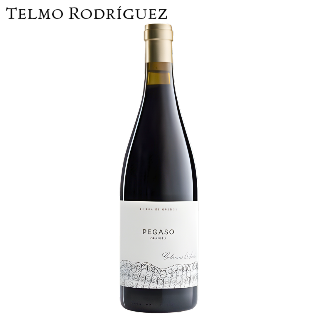Pegaso Granito Telmo Rodriguez Garnacha Sierra de Gredos Spain wine bottle