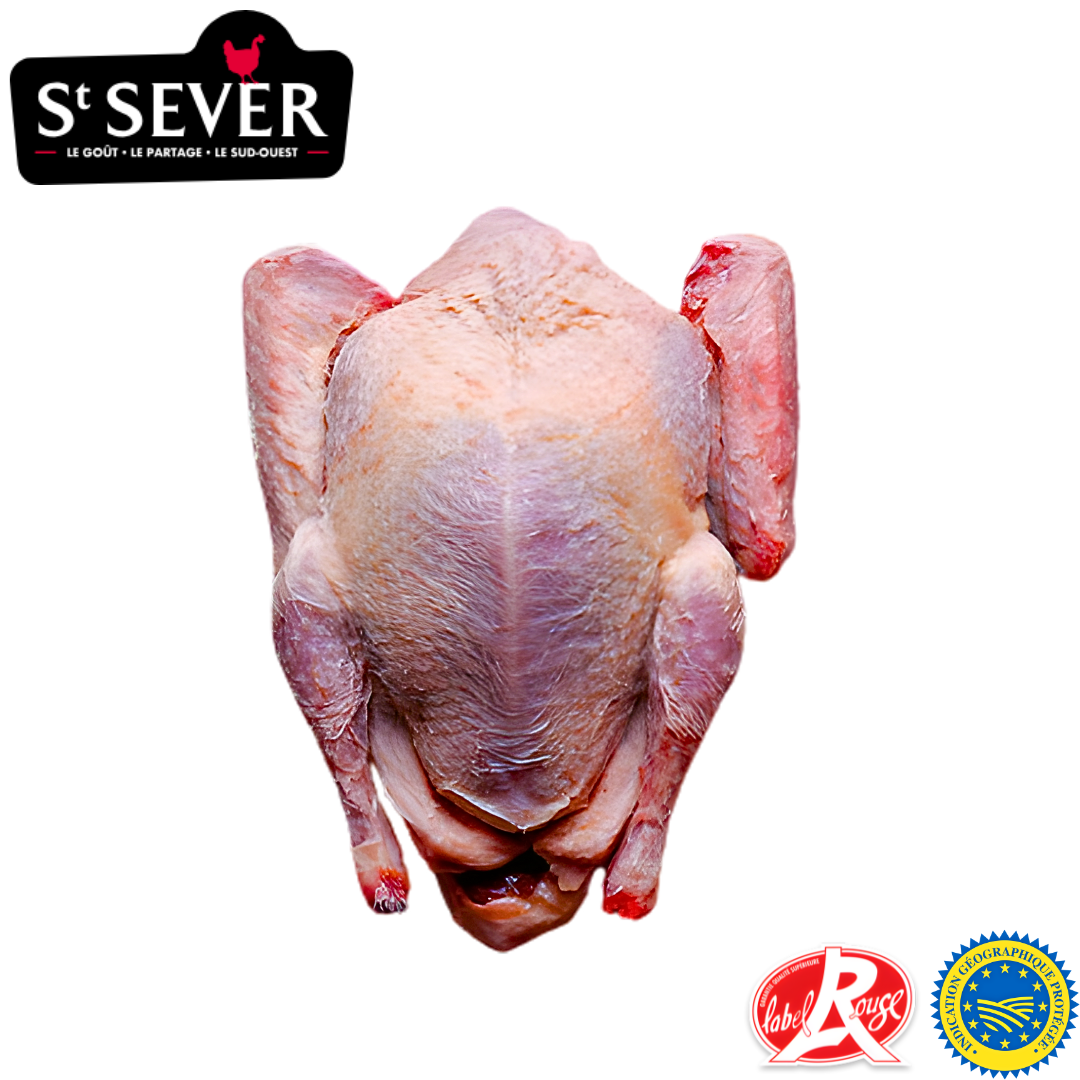 St Sever pigeon squab whole french game bird