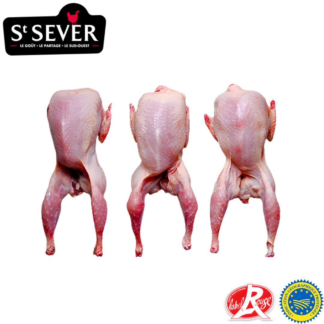 St Sever quail whole french game bird