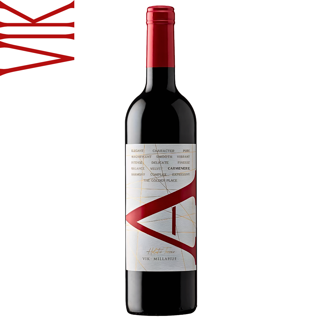 VIK A Carménère 2022 Chile red wine
