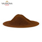 Valrhona Dutch‑processed cocoa powder 3kg bean‑bag box