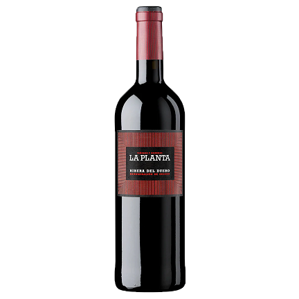 Arzuaga La Planta Ribera Del Duero 2021